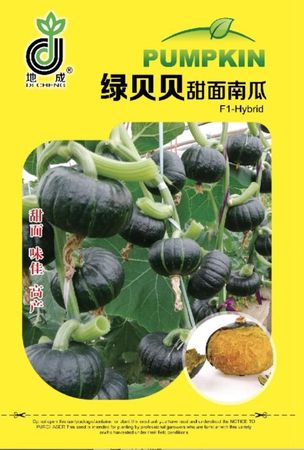 绿贝贝甜面南瓜——其他种子