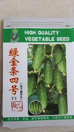 绿金条四号F1