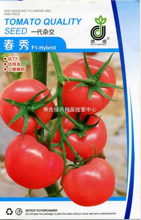 春秀——抗TY病毒粉果番茄