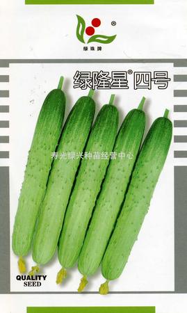 绿隆星四号——黄瓜种子