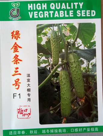 绿金条三号F1——黄瓜种子